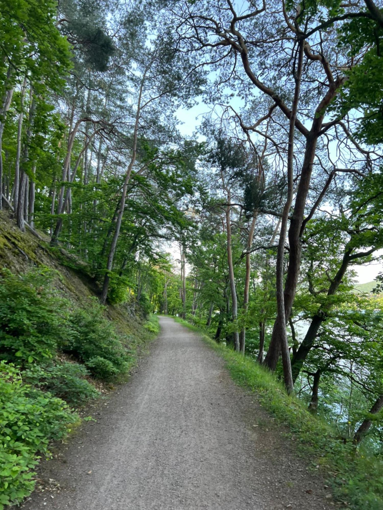 Bergschloesschen Edersee Waldeck  Dış mekan fotoğraf